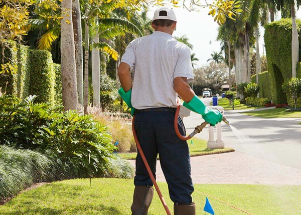 About Chapman KS Pest Control